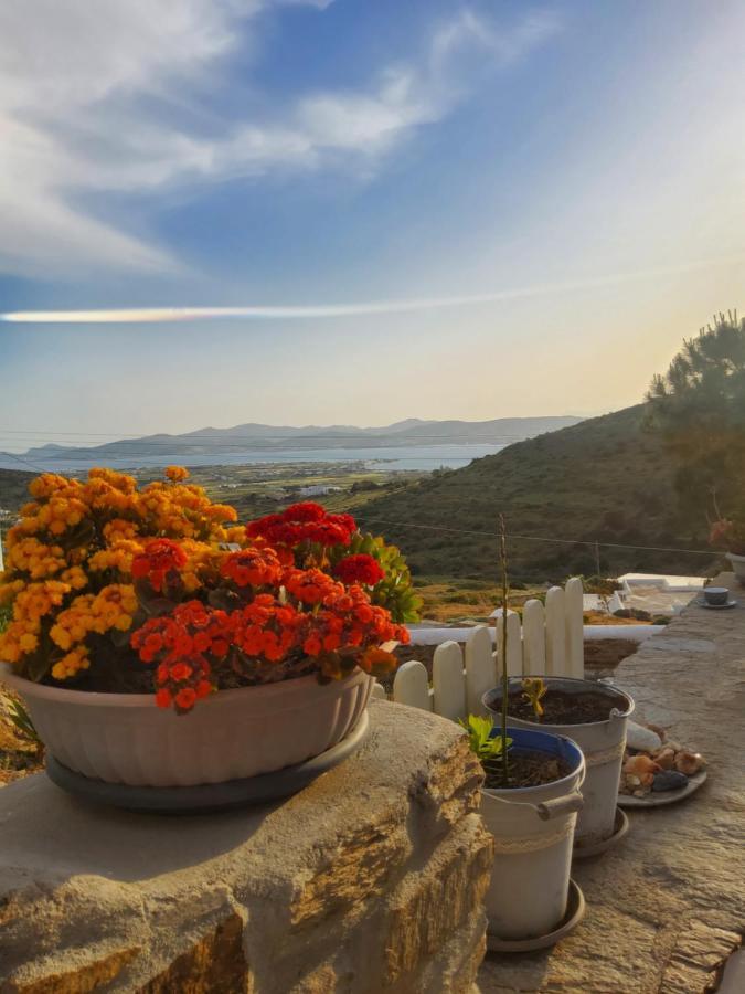 Romantic Sunset Cycladic House In Sotires Moni Christou Dasous Екстериор снимка